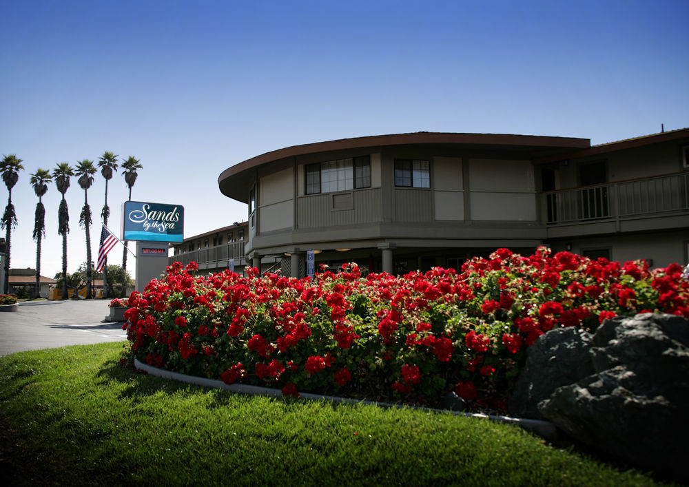 Sands By The Sea Motel San Simeon Buitenkant foto